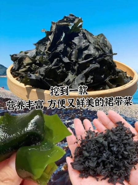 孕妇能吃裙带菜吗_裙带菜对胎儿有影响吗-第3张图片-星辰妙记