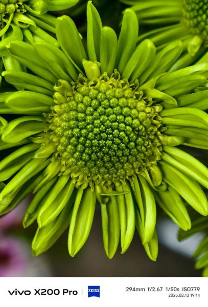 蔡司镜头手机有哪些_拍照效果怎么样-第1张图片-星辰妙记