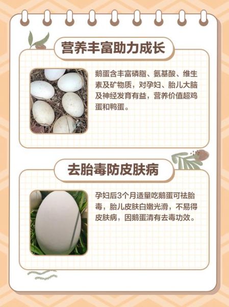 孕妇吃鹅蛋去胎毒的正确方法_鹅蛋去胎毒什么时候吃最好-第2张图片-星辰妙记