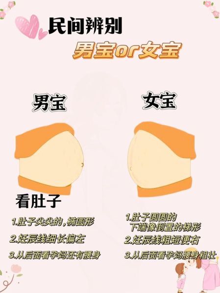 孕妇初乳早怀的是男孩吗_初乳早与胎儿性别关系-第2张图片-星辰妙记