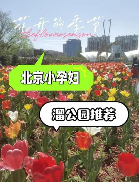 北京孕妇游玩好去处_孕妇北京旅游安全吗-第1张图片-星辰妙记 北京孕妇游玩好去处_孕妇北京旅游安全吗-第1张图片-星辰妙记