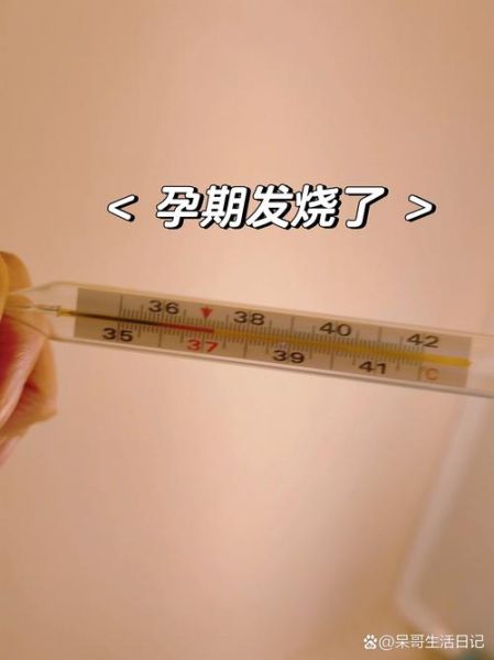 孕妇正常体温范围_孕妇体温37.2度正常吗-第3张图片-星辰妙记