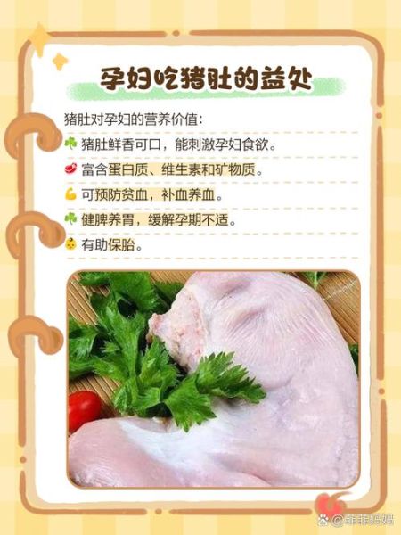 孕妇能吃猪肚吗_孕妇吃猪肚的好处与禁忌-第1张图片-星辰妙记