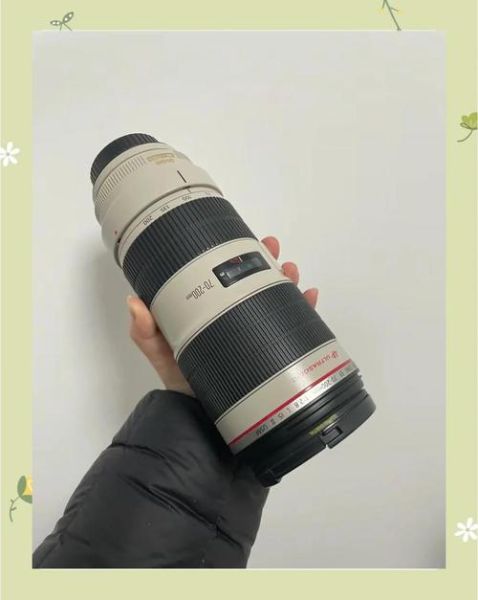 佳能18200镜头多少钱_二手价格行情-第2张图片-星辰妙记