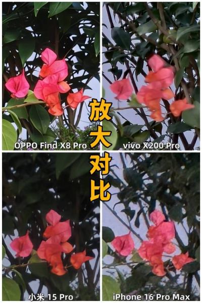 双镜头手机拍照效果如何_双镜头和单镜头区别在哪-第1张图片-星辰妙记