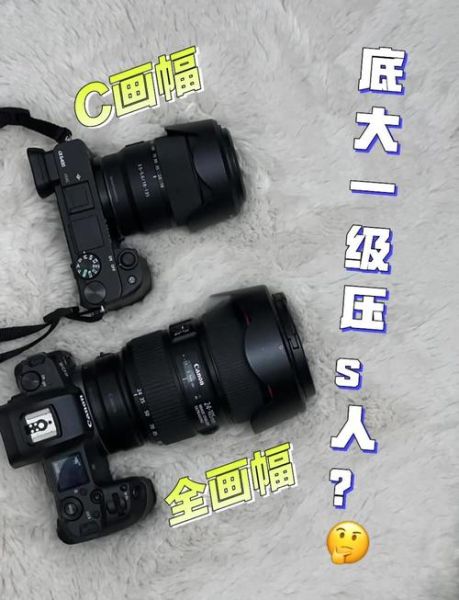 残幅镜头值得买吗_残幅镜头和全画幅区别-第1张图片-星辰妙记