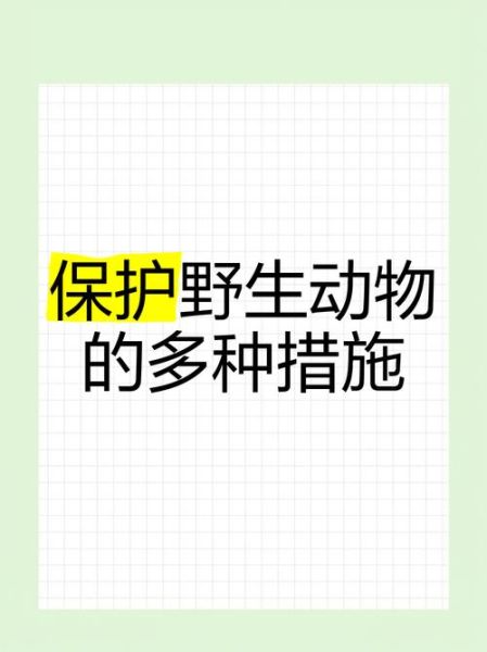 为什么要保护动物_如何保护野生动物-第1张图片-星辰妙记