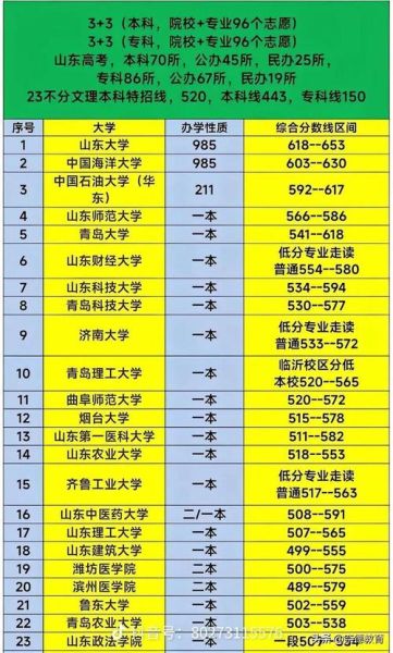 山东二本大学排名及分数线_2024最新数据-第3张图片-星辰妙记