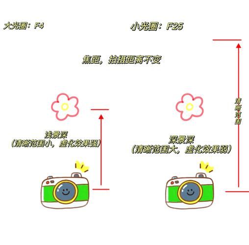 镜头浅焦怎么拍_浅景深拍摄技巧-第1张图片-星辰妙记