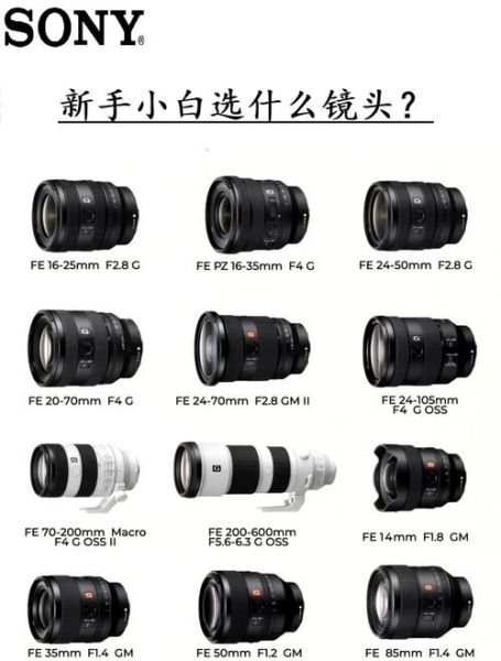 索尼残幅镜头推荐_索尼残幅镜头怎么选-第2张图片-星辰妙记