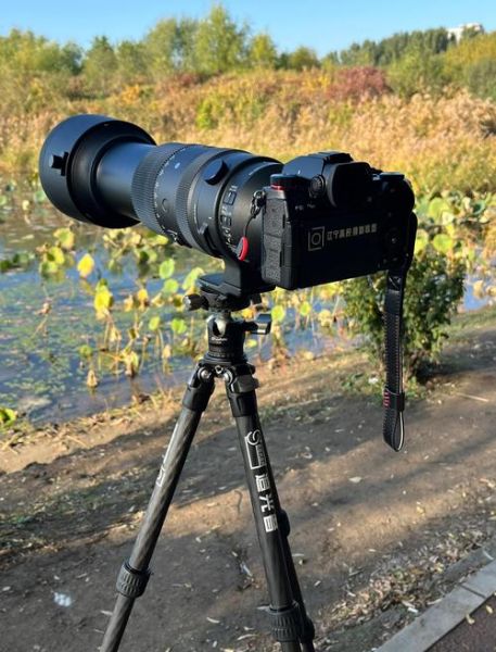 适马镜头翻新靠谱吗_如何挑选二手适马镜头-第2张图片-星辰妙记