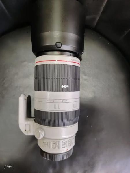 佳能镜头大白怎么样_佳能100-400二代值得买吗-第1张图片-星辰妙记