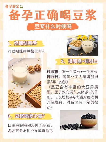 孕妇能吃豆奶粉吗_孕妇喝豆奶粉的注意事项-第3张图片-星辰妙记