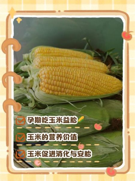 孕妇可以吃玉米吗_玉米对胎儿的好处-第1张图片-星辰妙记 孕妇可以吃玉米吗_玉米对胎儿的好处-第1张图片-星辰妙记