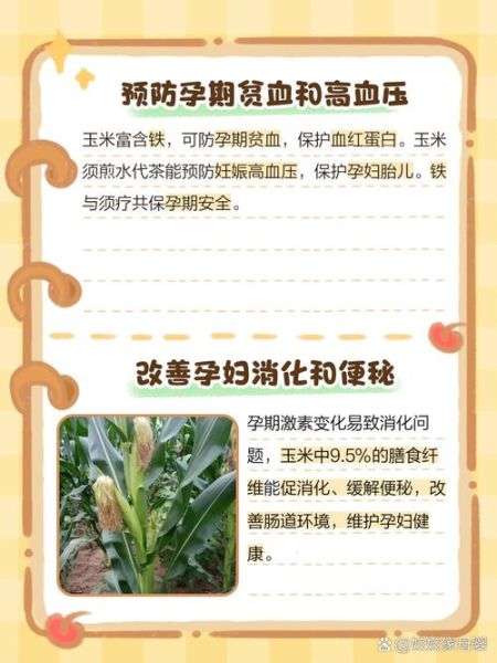 孕妇可以吃玉米吗_玉米对胎儿的好处-第2张图片-星辰妙记 孕妇可以吃玉米吗_玉米对胎儿的好处-第2张图片-星辰妙记