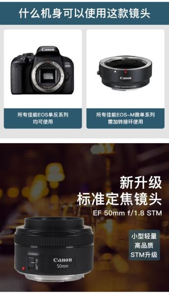 佳能定焦镜头推荐_佳能定焦镜头哪个好-第1张图片-星辰妙记