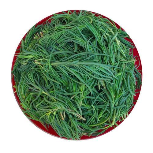 黄西菜孕妇可以吃吗_孕期吃黄西菜注意事项-第1张图片-星辰妙记