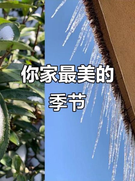 我的家乡在哪里_最美季节是几月-第2张图片-星辰妙记
