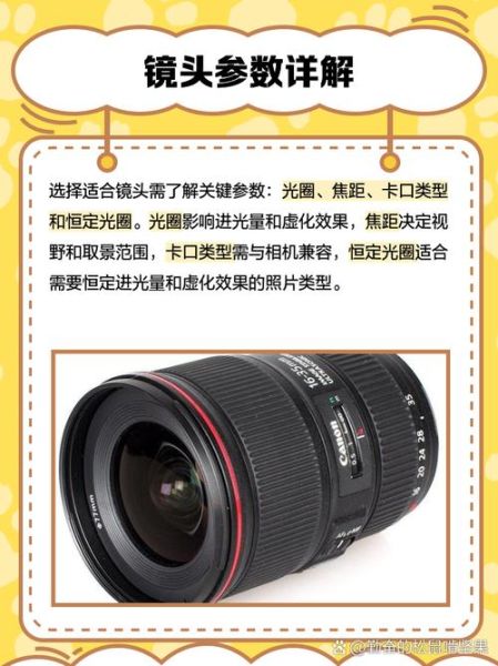 单反镜头怎么选_升级镜头注意什么-第1张图片-星辰妙记