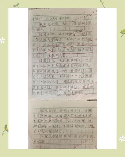 六年级写景作文怎么写_校园的秋天作文800字-第2张图片-星辰妙记 六年级写景作文怎么写_校园的秋天作文800字-第2张图片-星辰妙记