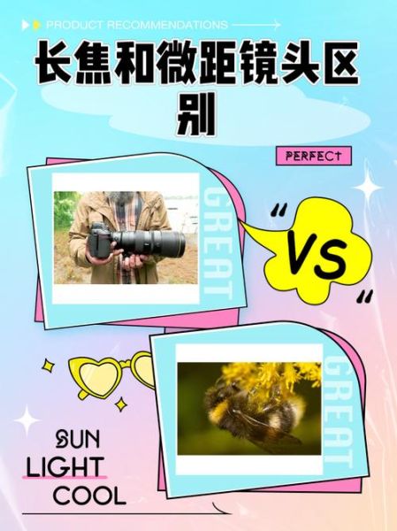 长焦微距镜头怎么选_长焦微距镜头推荐-第1张图片-星辰妙记