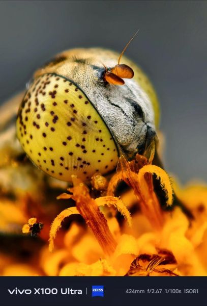 长焦微距镜头怎么选_长焦微距镜头推荐-第3张图片-星辰妙记