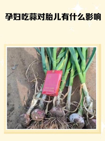 孕妇可以吃蒜吗_怀孕吃大蒜对胎儿有影响吗-第2张图片-星辰妙记