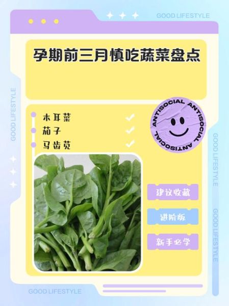 孕妇吃什么蔬菜好_孕期蔬菜禁忌有哪些-第3张图片-星辰妙记
