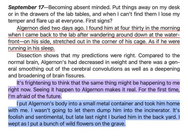 how_to_look_at_camera_in_english_video-第2张图片-星辰妙记