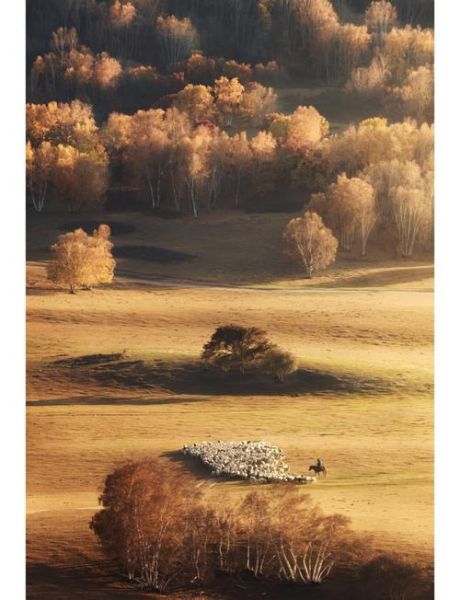 坝上摄影用什么镜头_坝上草原长焦还是广角-第2张图片-星辰妙记