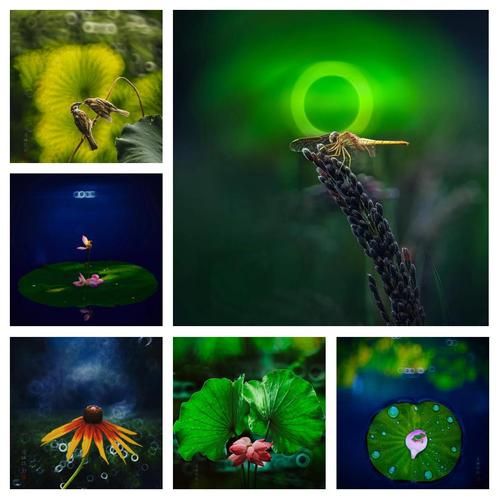 折返镜头怎么用_折返镜头拍摄技巧-第1张图片-星辰妙记