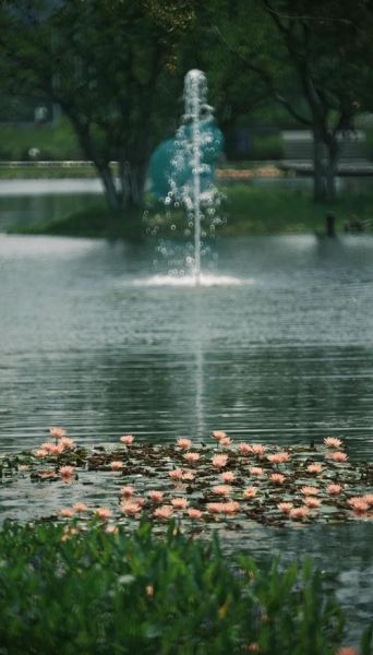 折返镜头怎么用_折返镜头拍摄技巧-第2张图片-星辰妙记