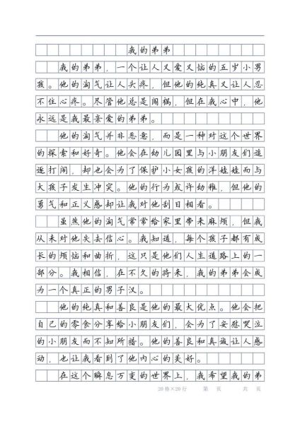 弟弟的作文怎么写_500字作文如何扩写到800字-第2张图片-星辰妙记