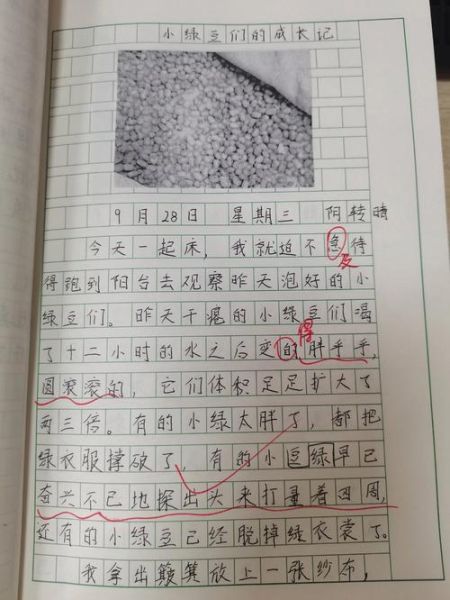 四年级上册四单元作文怎么写_如何写观察日记-第2张图片-星辰妙记