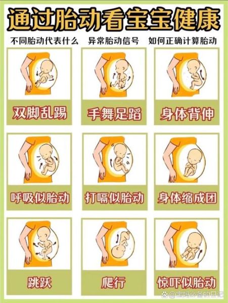 孕妇28周胎动频繁正常吗_胎动频繁原因-第2张图片-星辰妙记 孕妇28周胎动频繁正常吗_胎动频繁原因-第2张图片-星辰妙记