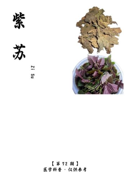 紫苏孕妇可以吃吗_紫苏叶孕早期能吃吗-第1张图片-星辰妙记