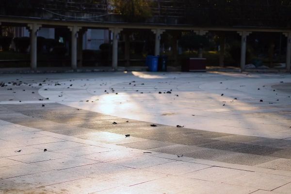 孤独的镜头怎么拍_如何用镜头表现孤独感-第3张图片-星辰妙记