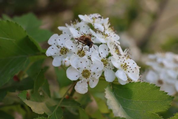 18-150镜头适合拍什么_18-150镜头画质怎么样-第3张图片-星辰妙记