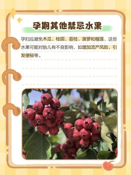 孕妇可以吃山楂吗_孕早期吃山楂安全吗-第3张图片-星辰妙记 孕妇可以吃山楂吗_孕早期吃山楂安全吗-第3张图片-星辰妙记