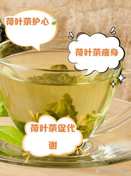 孕妇可以喝荷叶茶吗_孕期喝荷叶茶安全吗-第2张图片-星辰妙记 孕妇可以喝荷叶茶吗_孕期喝荷叶茶安全吗-第2张图片-星辰妙记