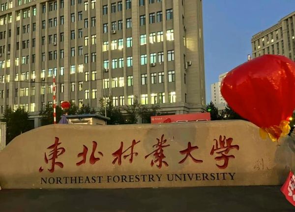 东北林业大学排名怎么样_东北林业大学全国第几名-第3张图片-星辰妙记