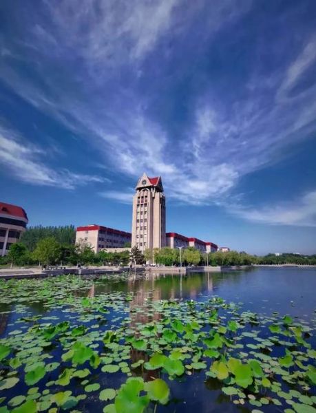 烟台大学怎么样_烟台大学值得报考吗-第1张图片-星辰妙记 烟台大学怎么样_烟台大学值得报考吗-第1张图片-星辰妙记