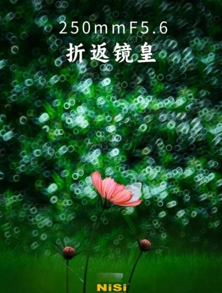 折返镜头作品怎么拍_折返镜头作品后期调色技巧-第1张图片-星辰妙记