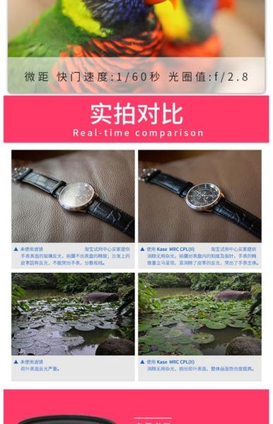 佳能100微距镜头适合拍什么_新手必看实拍清单-第3张图片-星辰妙记