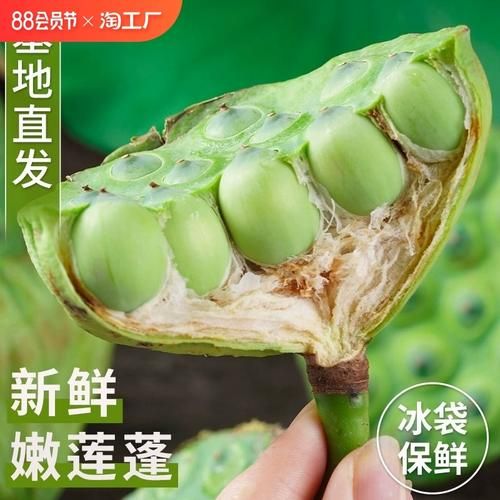 孕妇可以吃莲蓬吗_莲蓬对胎儿有影响吗-第1张图片-星辰妙记 孕妇可以吃莲蓬吗_莲蓬对胎儿有影响吗-第1张图片-星辰妙记