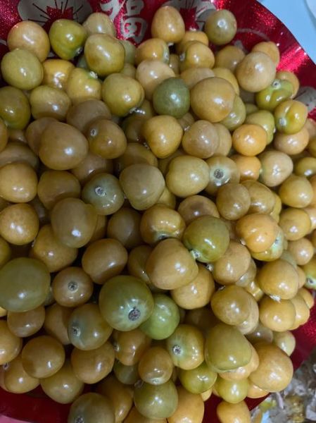 姑娘果孕妇可以吃吗_姑娘果对胎儿有影响吗-第1张图片-星辰妙记 姑娘果孕妇可以吃吗_姑娘果对胎儿有影响吗-第1张图片-星辰妙记