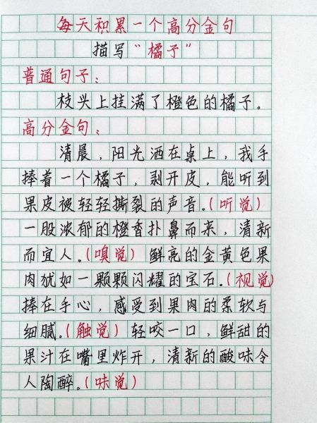 橘子人生作文怎么写_橘子人生作文素材有哪些-第1张图片-星辰妙记 橘子人生作文怎么写_橘子人生作文素材有哪些-第1张图片-星辰妙记