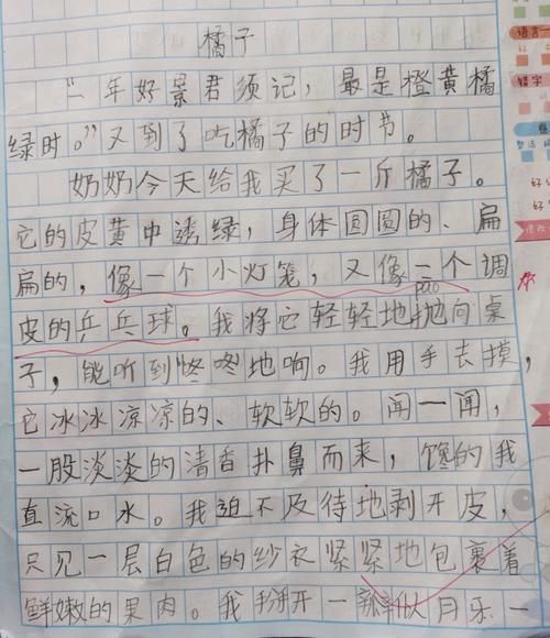 橘子人生作文怎么写_橘子人生作文素材有哪些-第3张图片-星辰妙记 橘子人生作文怎么写_橘子人生作文素材有哪些-第3张图片-星辰妙记