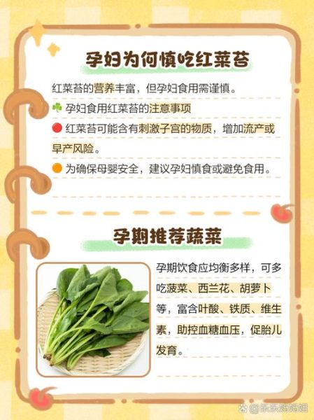 孕妇吃什么蔬菜好_孕期最安全的蔬菜有哪些-第3张图片-星辰妙记 孕妇吃什么蔬菜好_孕期最安全的蔬菜有哪些-第3张图片-星辰妙记