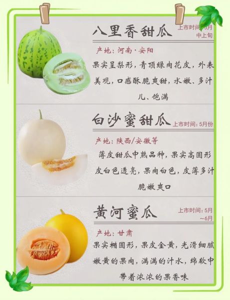 孕妇可以吃甜瓜吗_孕期吃甜瓜注意事项-第1张图片-星辰妙记 孕妇可以吃甜瓜吗_孕期吃甜瓜注意事项-第1张图片-星辰妙记